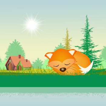 illustration of red fox in summer
