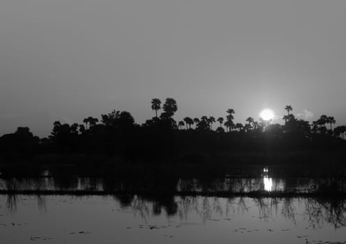 SUNSET OVER LAKE AND SILHOUETTE OF TREES