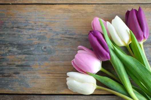 Spring tulips on a wooden background with space