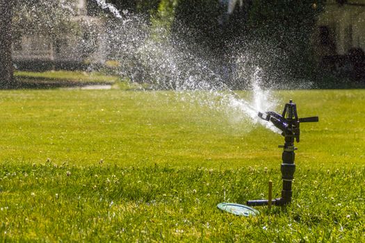 Sprinker spraying water on lush green grass in park