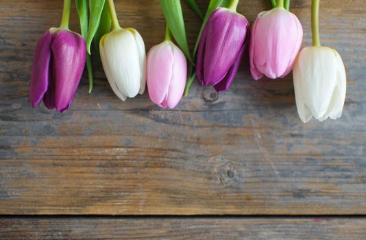 Spring tulips on a wooden background with space