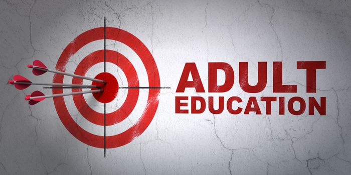 Success Learning concept: arrows hitting the center of target, Red Adult Education on wall background, 3D rendering