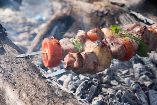 Juicy slices of meat with sauce prepare on fire. fresh hot grilled chicken shish kebab barbecue on grid over charcoal