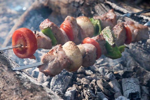 Juicy slices of meat with sauce prepare on fire. fresh hot grilled chicken shish kebab barbecue on grid over charcoal