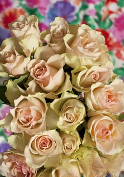 Flowers roses beautiful bouquet, background overhead shot