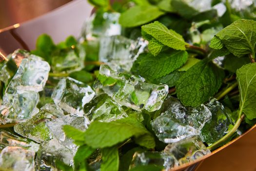 ice cubes and fresh mint. Shallow dof