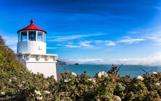 Small Lighthouse Guarding the Bay, Color Image, Day