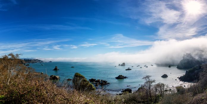Panoramic Shoreline Beach Scene from Northern California, Color Image