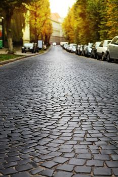 empty cobblestone road in European city