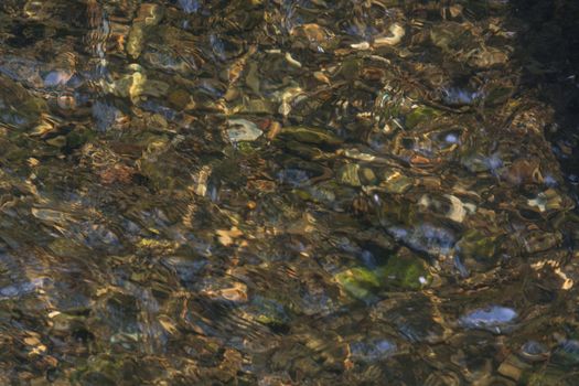 River floor, texture. Pebbles underwater in sunlight.