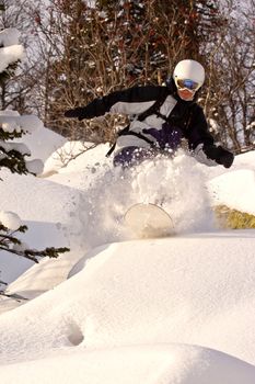 The snowboarder rideing in the forest of Siberia