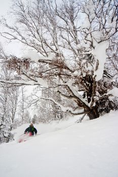 Freerider skiing in the mountains of Siberia