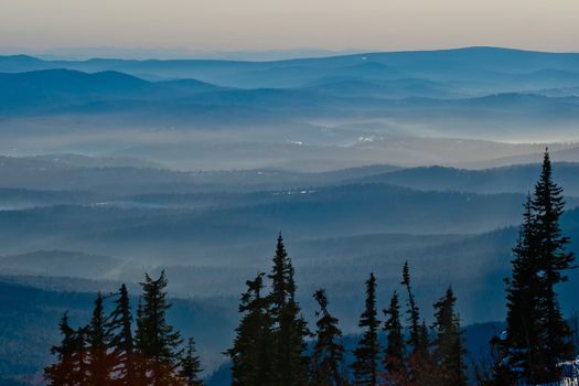 Silhouette of the trees on the mountain background