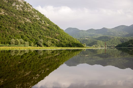 Lake Shkod also called Scutari, Skadar and Shkodra lies on the border of Albania and Montenegro, the largest lake in the Southern Europe