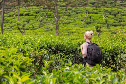 Active caucasian blonde woman enjoying fresh air and pristine nature while trekking among tea plantations near Ella, Sri Lanka. Backpacking outdoors tourist adventure.