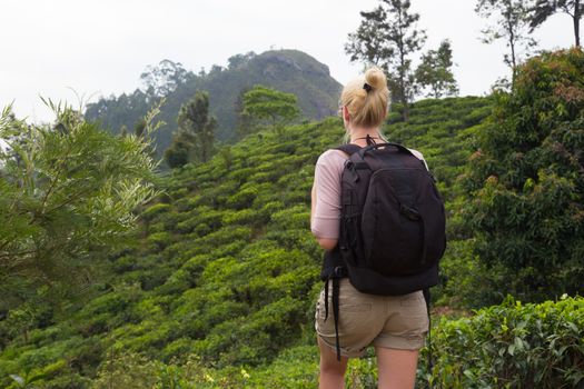 Active caucasian blonde woman enjoying fresh air and pristine nature while trekking among tea plantations near Ella, Sri Lanka. Backpacking outdoors tourist adventure.