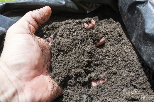 Mulch in a sack for the orchard, garden or field