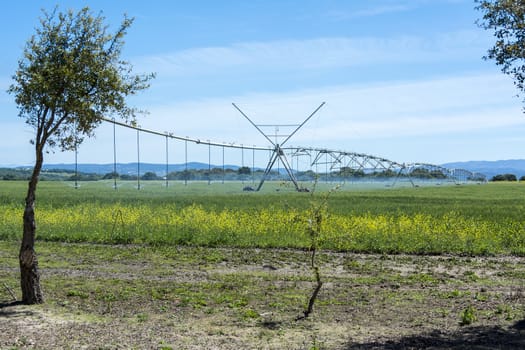 Industrial irrigation of crops