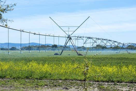 Industrial irrigation of crops