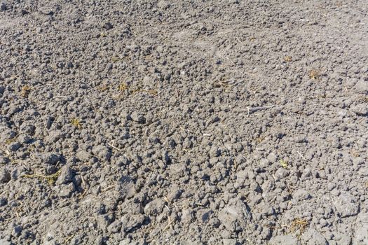 Land prepared for seeding, in sunny day