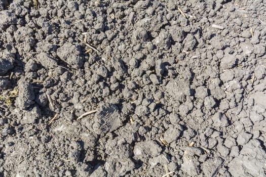 Closeup view of land planted in sunny day