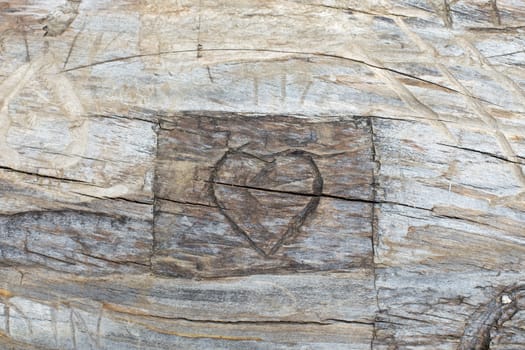 A carved heart in a tree trunk