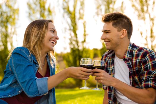 Shot of a beautiful couple on a picnic and making a toast