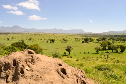 View of the Tsavo East savannah in Kenya with the mountains in the background