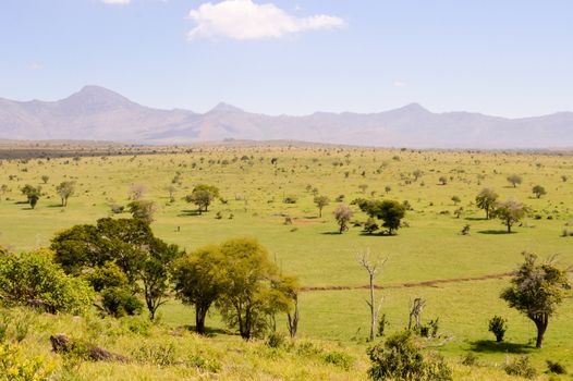 View of the Tsavo East savannah in Kenya with the mountains in the background