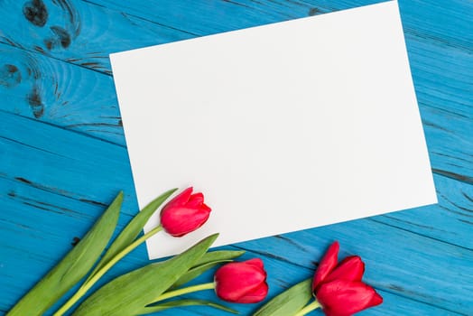 red tulips and sheet of paper for your greetings on the background of blue wooden board