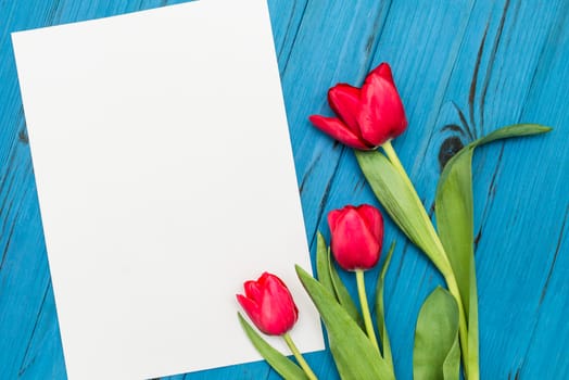 red tulips and sheet of paper for your greetings on the background of blue wooden board