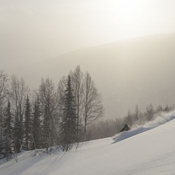 Freeride run in Siberian forest, powder run