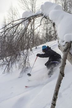 Freeride run in Siberian forest, powder run