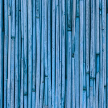 Blue Texture of reeds or bamboo for background