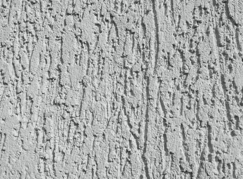 Grey Wall for bark beetle texture background