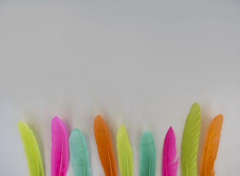 colorful feathers on a white background