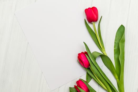 red tulips and sheet of paper for your greetings on the background of white wooden board