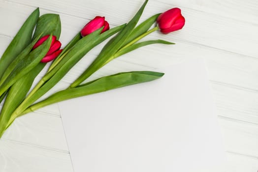 red tulips and sheet of paper for your greetings on the background of white wooden board