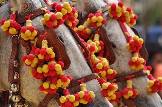 Horses festooned in fair, horse decked, Jerez de la Frontera