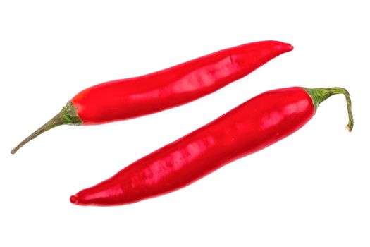 Red chilli isolated on a white background