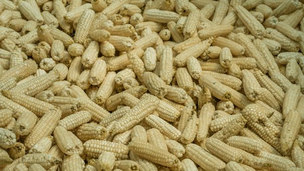 A lot of corn on the ground