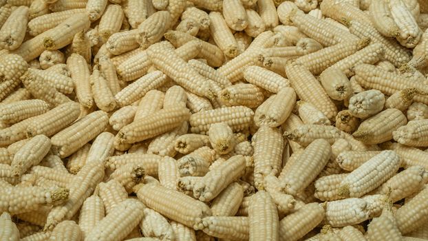 A lot of corn on the ground