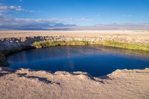 Ojos del salar lagoon landmark in San Pedro de Atacama, Chile