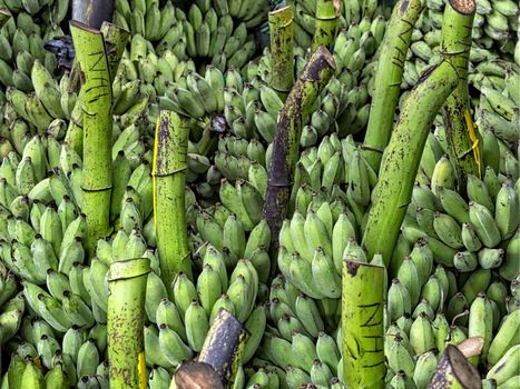 close up of heaps of green banana