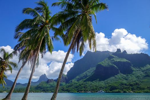 Cook’s Bay and lagoon in Moorea Island. French Polynesia