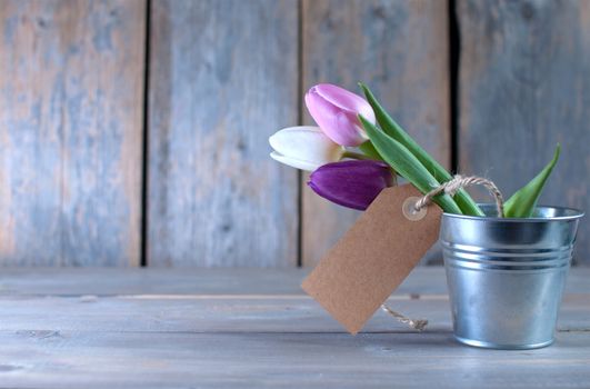 Spring tulips in a pot wooden background with space