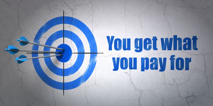 Success business concept: arrows hitting the center of target, Blue You get what You pay for on wall background, 3D rendering