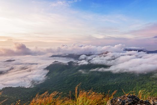 Beautiful landscape nature during sunrise on peak mountain with cloud fog and bright colors of sky in winter at Phu Chi Fa Forest Park is a famous tourist attraction of Chiang Rai Province, Thailand