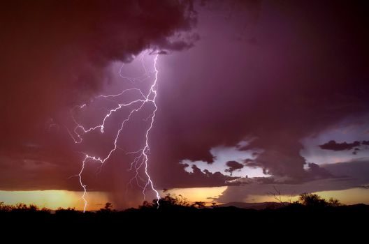 The Power of God in a lightning strike in the Sonoran Desert of Phoenix, Arizona with a dark purple sky and black foreground silhouette.