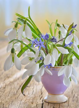 Beautiful bouquet of snowdrops in vase on wooden table